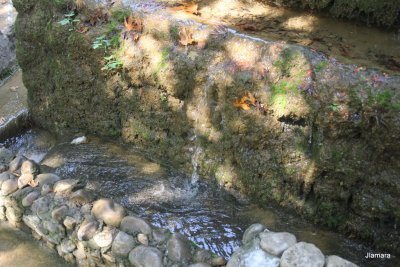 IMG_1753.JPG