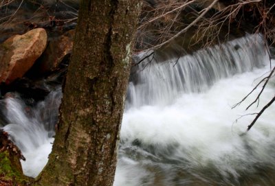 Hamrick Run Angled Stream Scene tb0511qvr.jpg