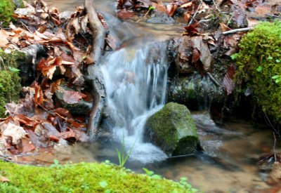 Tiny Waterfalls in Appalachian Woods tb0511rdr.jpg