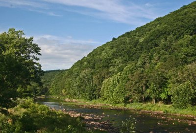 Greenbrier River Upstream from Cass WV tb0711cnr.jpg