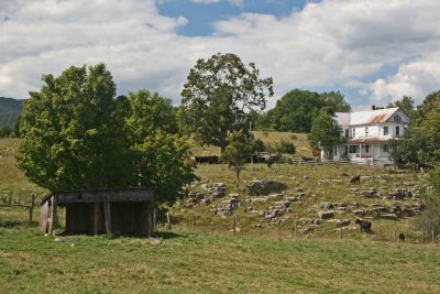 Rustic Farm in Sunny Appalachian Mtns tb0911npx.jpg