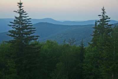 Hazy Summer Forest and Layers of Mountains tb0911nux.jpg