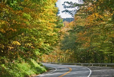 Early Autumn Colors in North Fork Road Scene tb1010sir.jpg