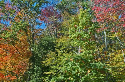  Colossal Mountain Colors