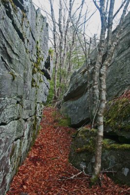 Stone Passage in Black Mtn Rock Garden tb0312avr.jpg