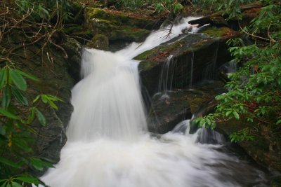 Mountain Whitewater Pouring thru Isolated Appalachian Valley tb1111ayr.jpg