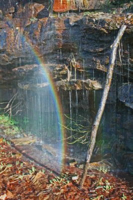 Williams Valley Rainbow on Waterfalls in Eve Light v tb0312bgr.jpg