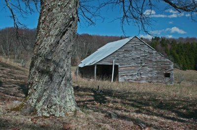 Weathered Barn and Twisted Tree on Buffalo Mtn Blue Sky Day tb0412dir.jpg