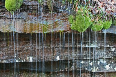 Strings of Appalachian Moisture Passing Mossy Cliffs tb0312fdr.jpg