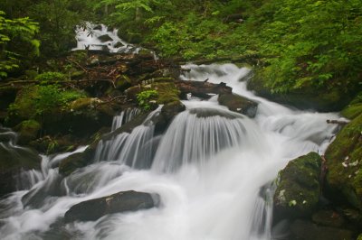 Fluorescent Swiftwater Scene in Upper Jakeman Fun tb0512fnr.jpg