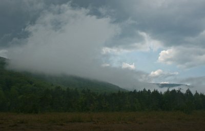 Clouds and Lighted Sky over Cranberry Glades tb0512ftr.jpg