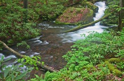 Long Stretch of Swiftwater Lower Jakeman Creek tb0512fmr.jpg