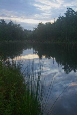 Grayish Sky Reflecting in Hills Creek Pond Scene tb0512hur.jpg