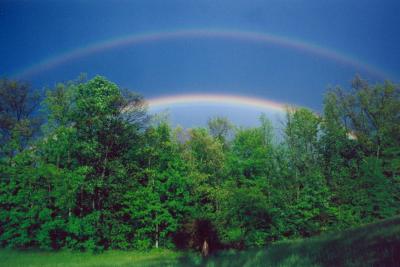 Rainbows over Woods  Field tb0705.jpg