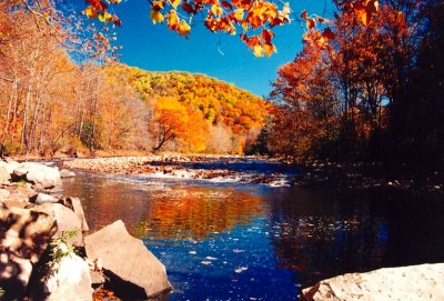 Autumn Williams River Scene near 3 Forks tb1003.jpg