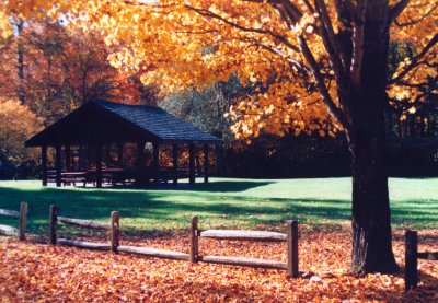 Woodbine South Shelter - Fall RDF TB1004.jpg