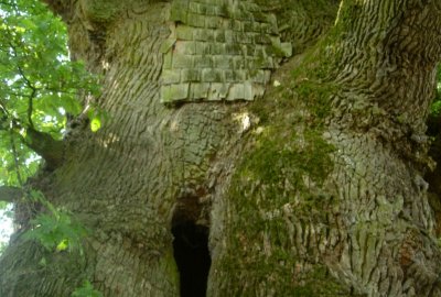 DSC07507.JPG