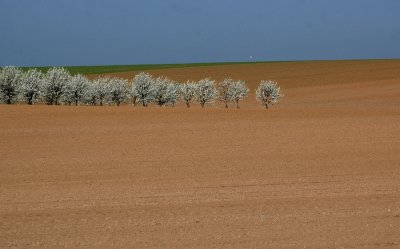 DSC_4066-900.JPG
