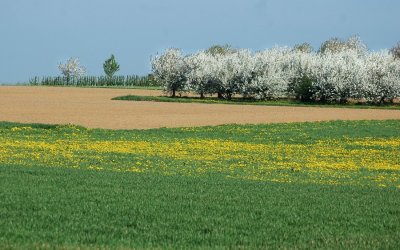 DSC_4088-900.JPG