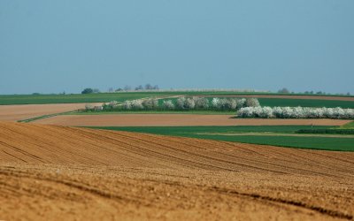 DSC_4096-900.JPG