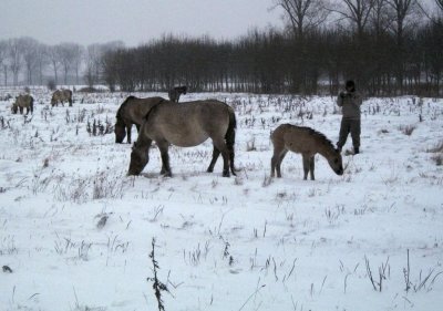 DSCF5562kl.JPG