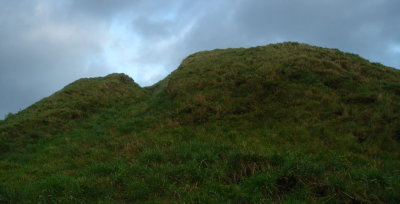 DSC09895.jpg