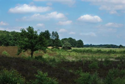 DSC_1283-1440.JPG