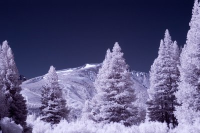 DSC_0040.jpg