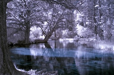 DSC_0043.jpg