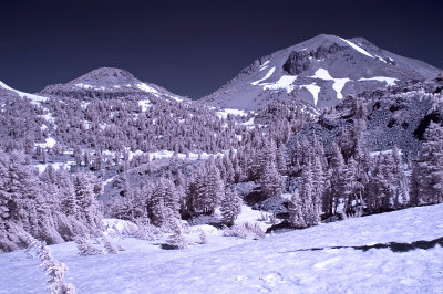 DSC_0066.jpg