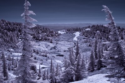 DSC_0068.jpg