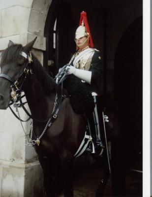 British Guard on Horse