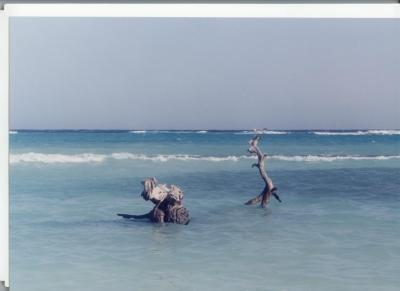 Baby Beach, Aruba