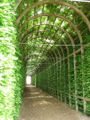 g4/73/564073/3/61027146.HamptonCourtPalace46.jpg