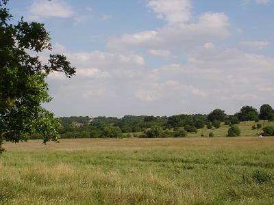 epping_forest