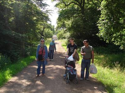 Epping Forest2.jpg