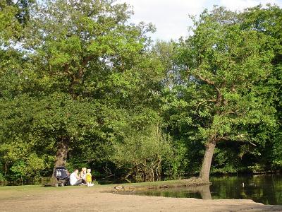 Epping Forest27.jpg