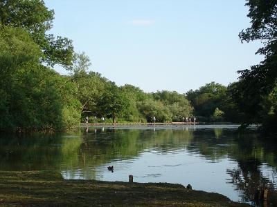Epping Forest28.jpg