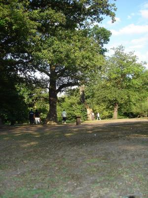 Epping Forest37.jpg