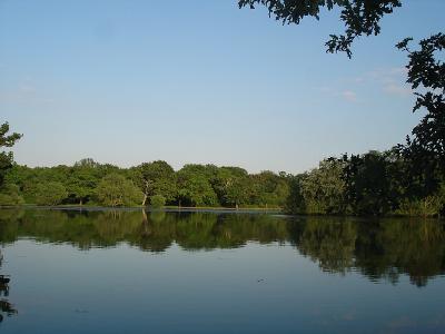 Epping Forest42.jpg