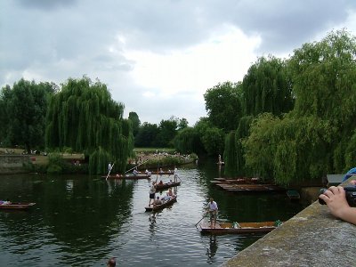 Cambridge6.jpg