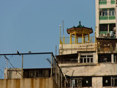 [2012.03.17] traditional roofline