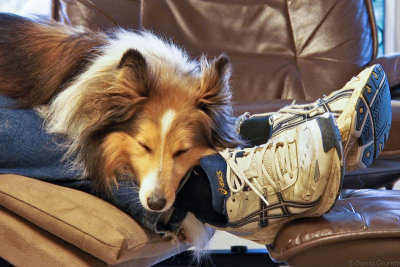 [2012.05.10] Falling asleep at his master's feet