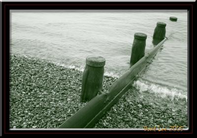 The Surf at Herne bay