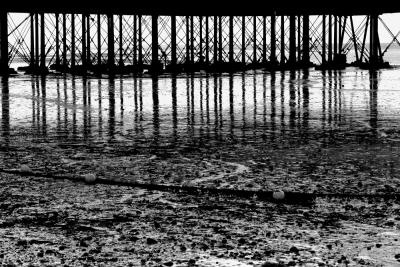 Low tide - under the pier