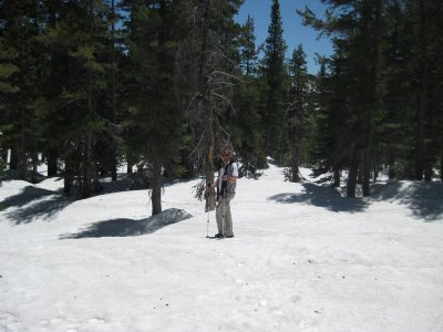 dn_from_tallac.JPG