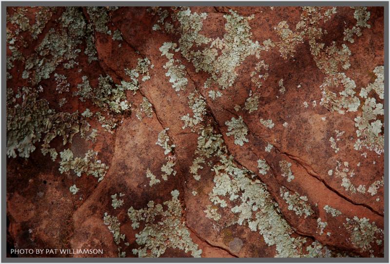 Pattern of Nature