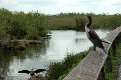 Everglades National Park 2006