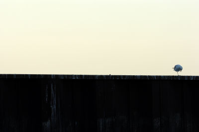 c_20060715-5306.jpg
