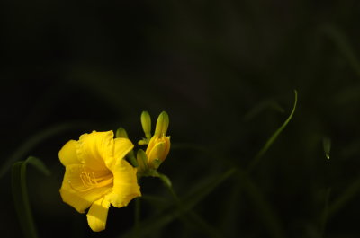 _20060620-4572.JPG